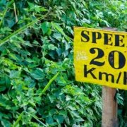 Speedlimit 20 Km/h (Schild in Sri Lanka entlang der Bahngleise)